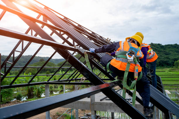 Best Roof Gutter Cleaning  in The Woodlands, TX